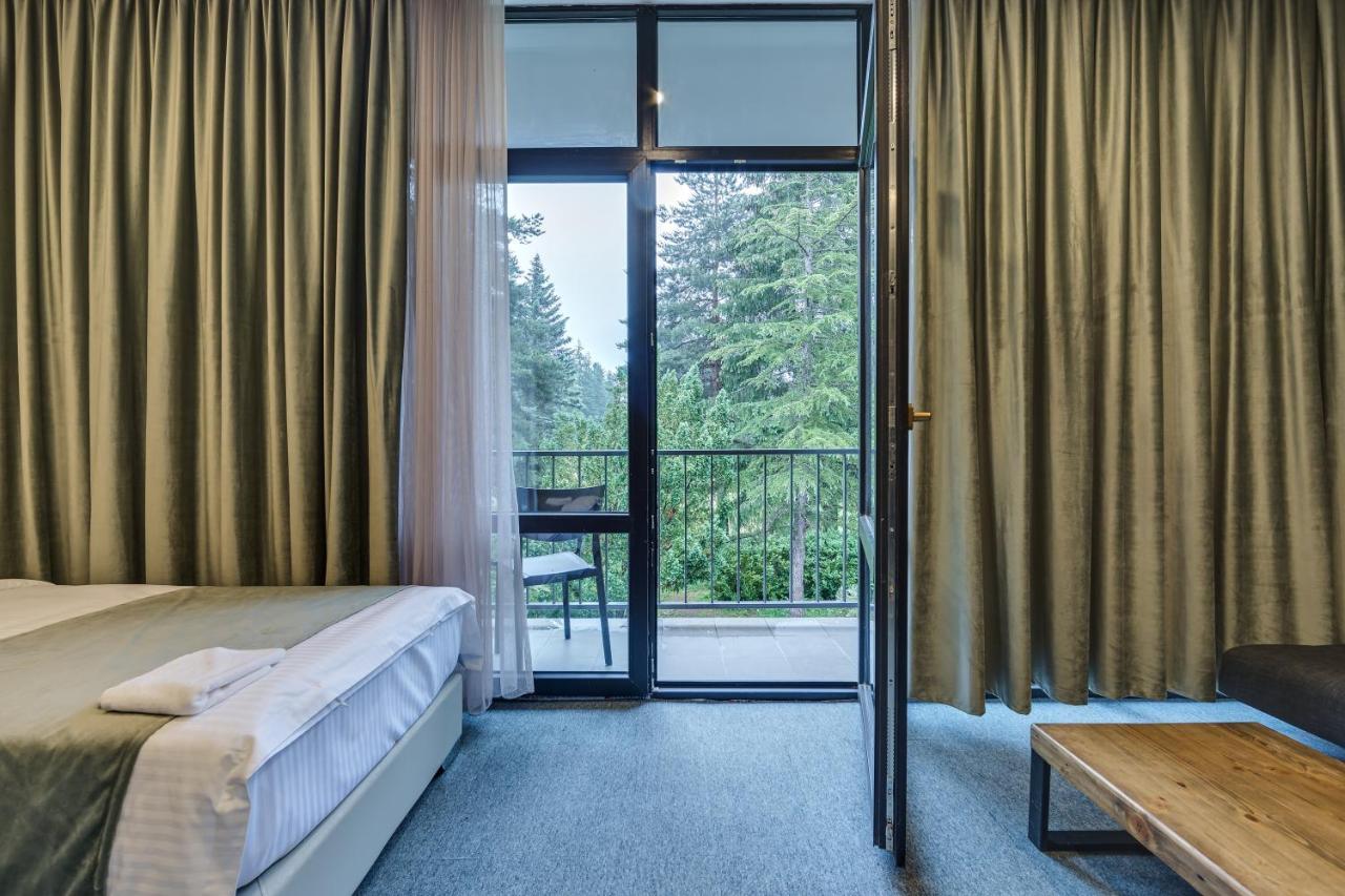 Mountain Resort Gantiadi Borjomi Exterior foto