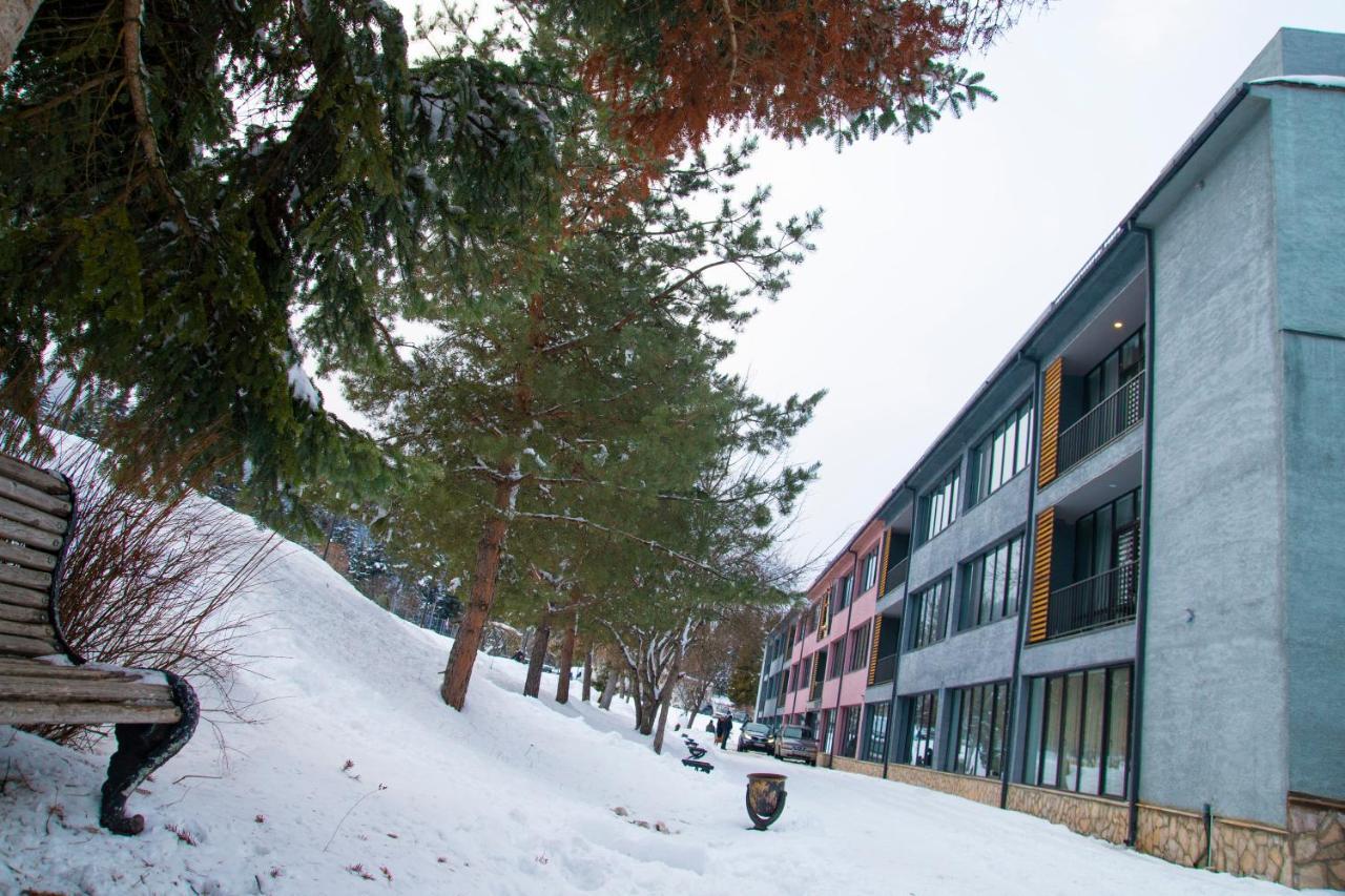 Mountain Resort Gantiadi Borjomi Exterior foto